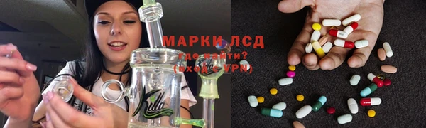 кокс Алзамай