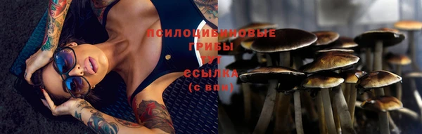 кокс Алзамай