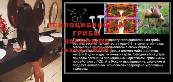 дживик Осташков