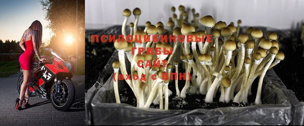 круглые Алексин